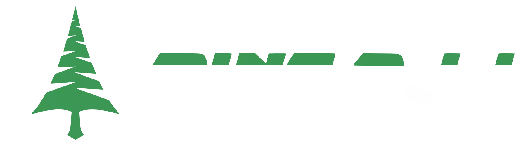 Pine BJJ